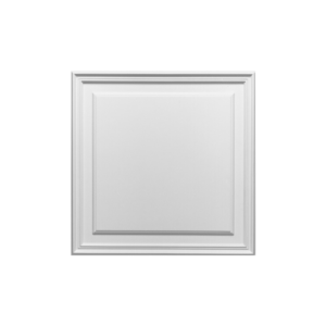D503 Raised Door Panel