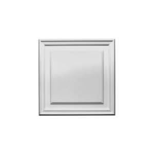 D506 Raised Wall Panel